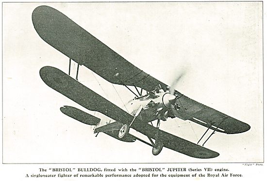 Bristol Bulldog (Bristol Jupiter Series VII Engine)              