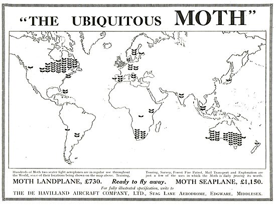 The Ubiqutous Moth                                               