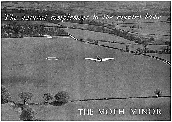 De Havilland Moth Minor                                          