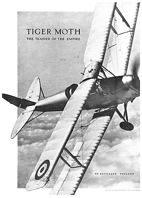 De Havilland Tiger Moth                                          