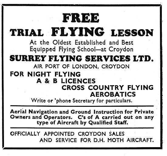 Surrey Flying Services - Free Trial Lesson: A & B Licences       